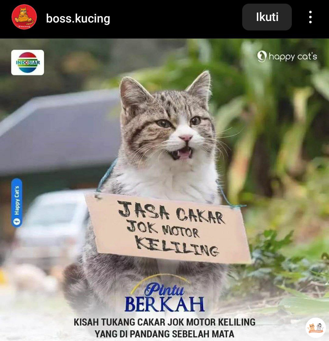 Bikin Pedagang Lebih Hepi tweet media