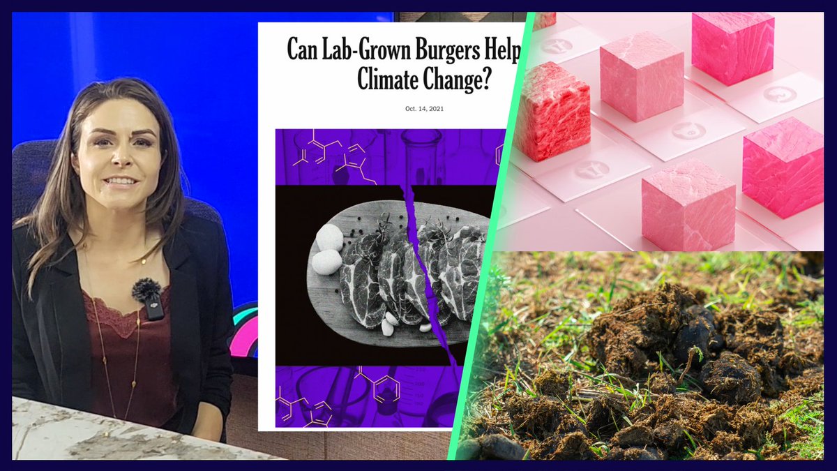 Talking about foetal bovine serum and whether cultured meat is vegan- PSYCH, no we're not bc we're <a href="/theanimalpill/">Animal Pill</a>. Our angle has more to do with the technological innovation cycle, regenerative agriculture, and... sexy microwaves?