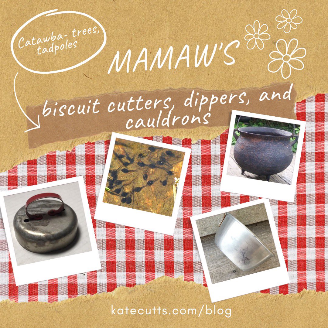 Did I tell y’all about the time I. . . ? Check it out and try this week’s #writingprompts at the end. #amwriting #storytelling 

katecutts.com/blog