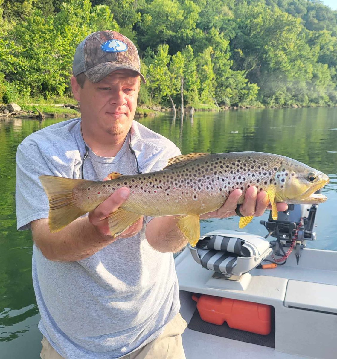 FishwithTJ's tweet photo. A quick 2 hour dash to some fish with the wife a few evenings back. Such a blast watching them sip!

.
.
.
.
.
.
.
.
.
.
.
https://t.co/9mWVg9wu40
.
#flyfishing #photography #fish #trout #troutbum #fishingtrip #browntrout #flyfisharkansas #arkansas #ozarks #whiteriver https://t.co/6sUq4JC9Ha