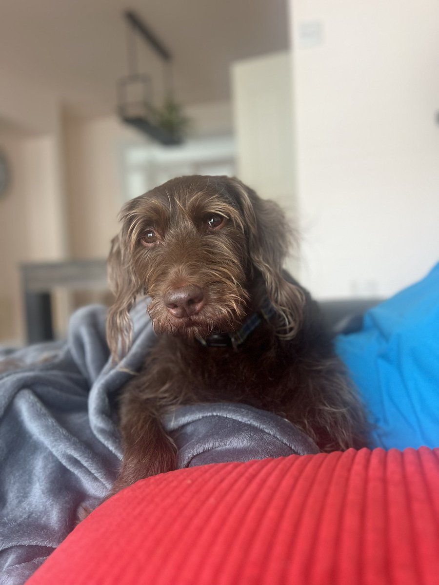 “Please don’t go upstairs and make that bang bang music, Dad, I’m trying to sleep…”

#Techno #Trance