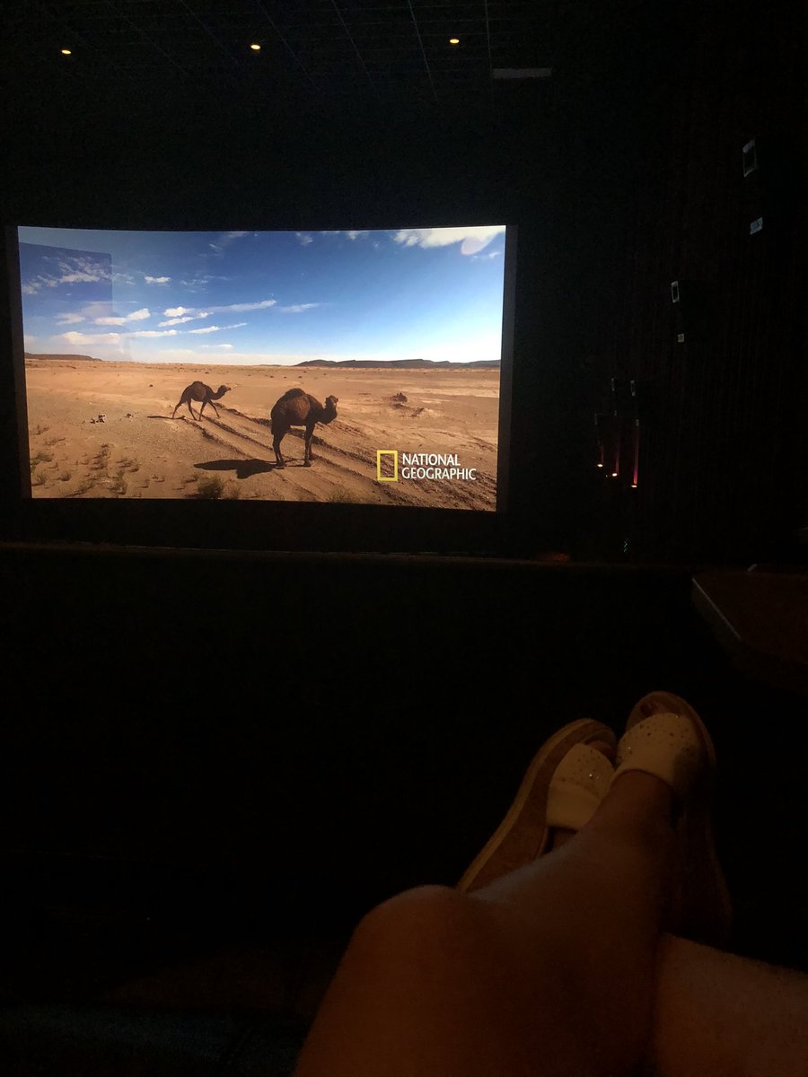 After 4 long years I finally went back to the movie theater!  @suncoastcasino #IndianaJonesAndTheDialOfDestiny