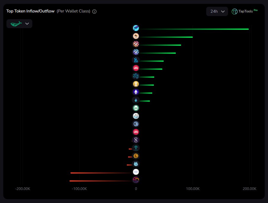 snek's tweet photo. Wallets with 1 Million+ $ADA are buying $SNEK 👀👀

Whales have bought more $SNEK in the last 24 hours then any other token 🤯 https://t.co/bMgHJZ6B4Y