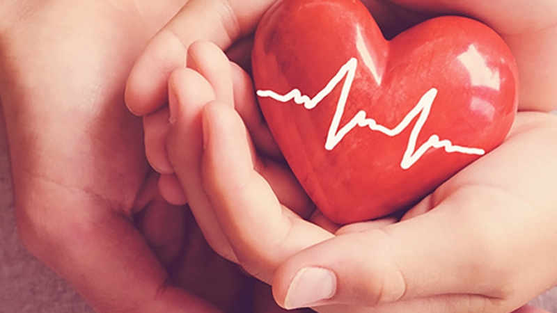 Eurecat y Mobile World Capital Barcelona crean la startup Dipneo para facilitar la supervivencia ante una parada cardiorrespiratoria

barcelonadot.com/eurecat-y-mobi…