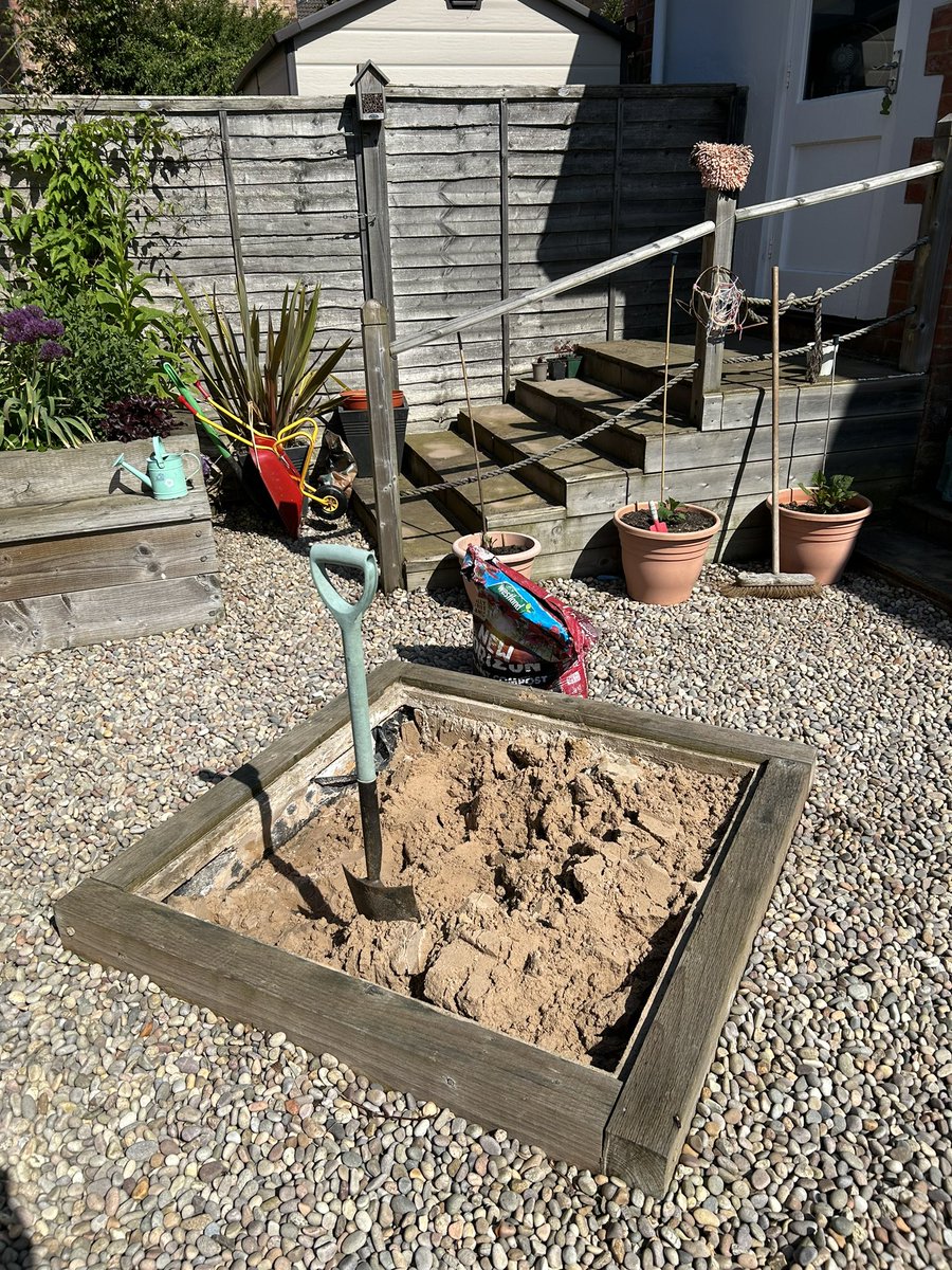 MAVSTweets's tweet photo. After 2 weeks out pond has had its first visitor!! A Southern Hawker laying eggs in the wood. 
The pond has been transformed from my daughters sandpit into a mini wildlife haven!…. It appears to be working 😊
Check out the pictures #wildlife #pond #dragonflies 

@BDSdragonflies https://t.co/PydwDcMBxT