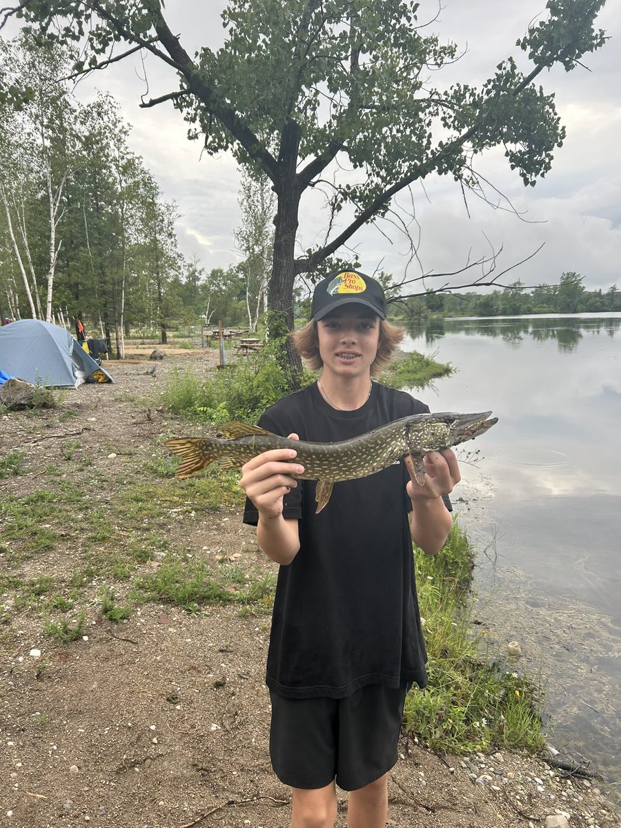 Craig Thomas tweet media