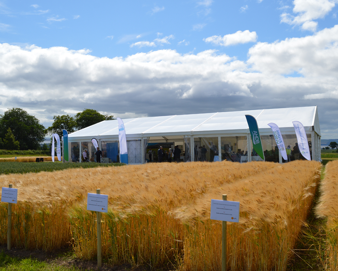ArableScotland's tweet photo. Only 1 day away from #ArableScotland23!
We can't wait to hear from this year's #innovative exhibitors and be a part of the #arableconversation.
Visit us tomorrow: https://t.co/7I6OaTarCx https://t.co/3ukvDFZq7V