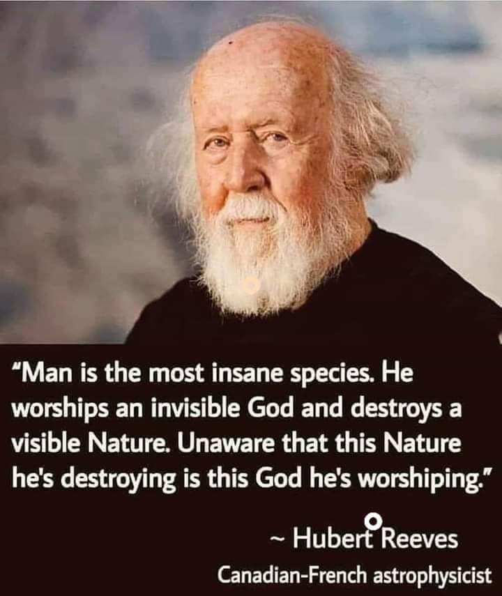 uncleFredsTweet's tweet image. Happy Monday. 🌹