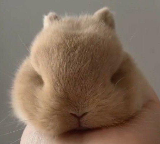 ☆ (@hsbnny) on Twitter photo 
