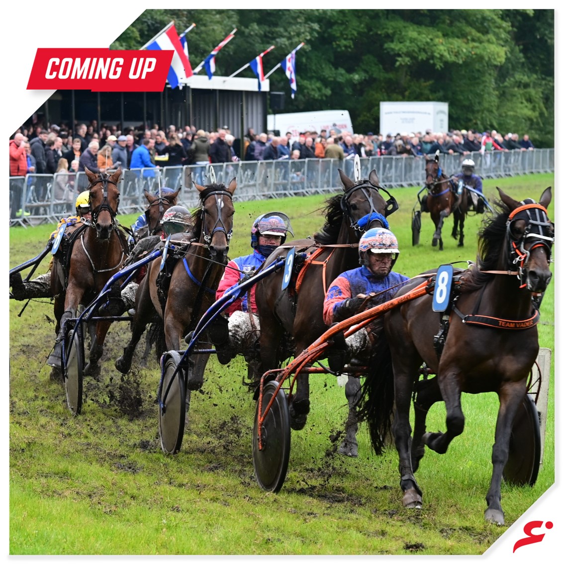 𝐃𝐞𝐳𝐞 𝐰𝐞𝐞𝐫 𝐠𝐞𝐞𝐧 𝐭𝐡𝐫𝐨𝐰𝐛𝐚𝐜𝐤, 𝐦𝐚𝐚𝐫 𝐞𝐞𝐧 𝐜𝐨𝐦𝐢𝐧𝐠 𝐮𝐩!
Vrijdagmiddag is het weer tijd voor een grasbaanmeeting. Dit keer in het mooie Joure. 😍

#Joure #Drafsport #Paardenrace