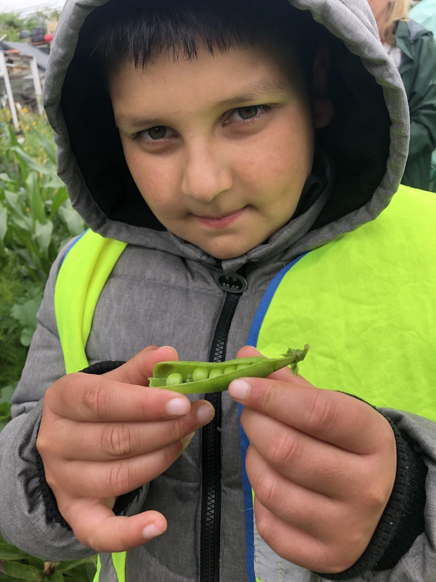 StPeterslovesSc's tweet photo. Great time had by all at Mrs Hill’s allotment - thank you to our Science link governor for all the interesting information and well done ⁦@StPetersYr1and2⁩, great enthusiasm shown! https://t.co/WWzsGjkEar