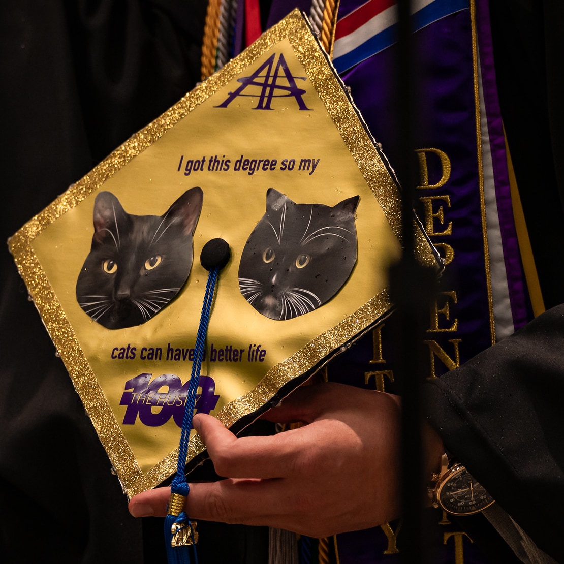 #Dawgs taking care of cats. You love to see it.