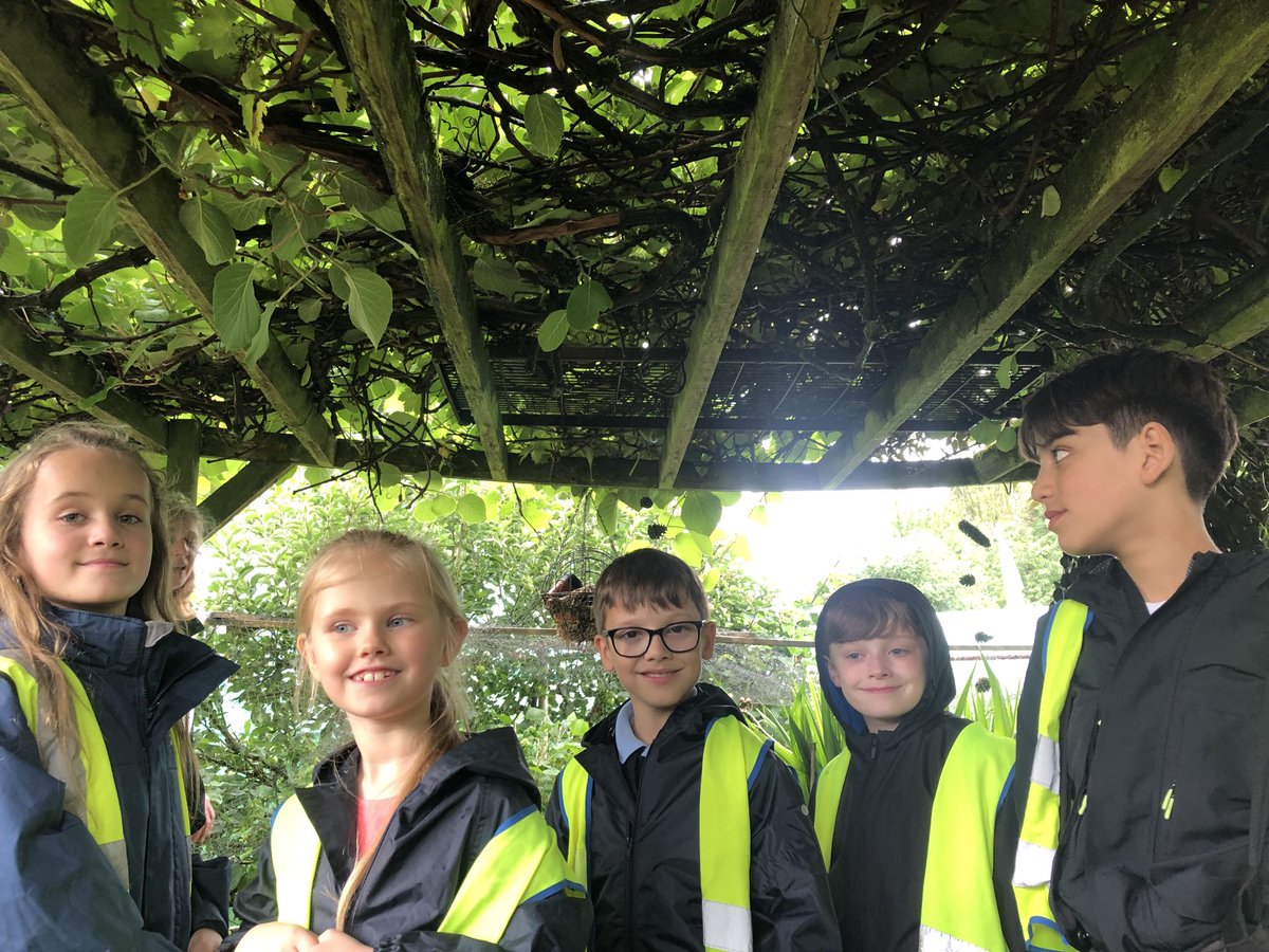 StPeterslovesSc's tweet photo. Great time had by all at Mrs Hill’s allotment - thank you to our Science link governor for all the interesting information and well done ⁦@StPetersYr1and2⁩, great enthusiasm shown! https://t.co/WWzsGjkEar