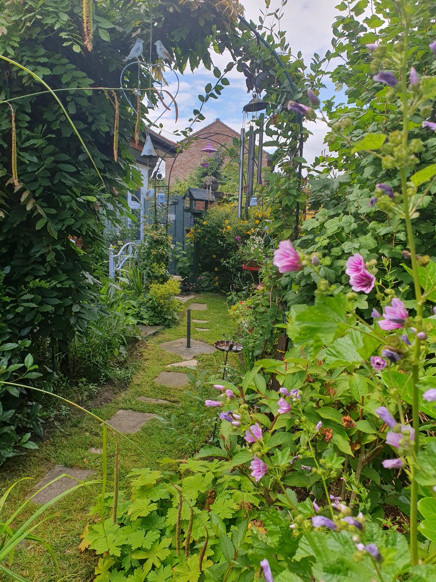 Matt Lewer tweet media