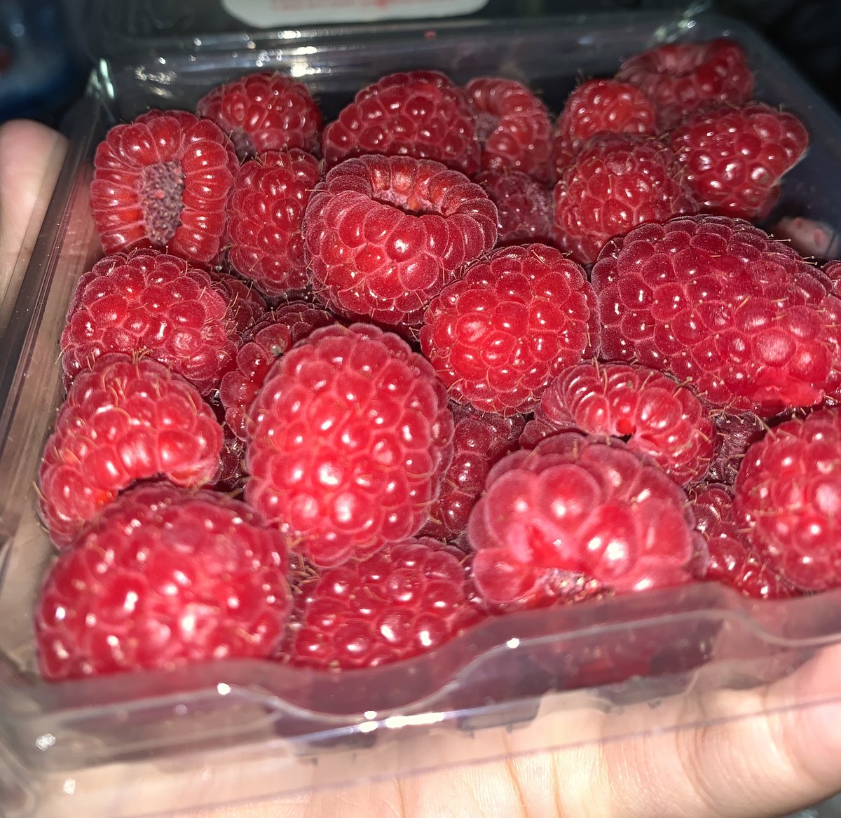 jumilicia's tweet photo. Dapet buah dari kesayangan🤍 https://t.co/mDQQBZ9UOz
