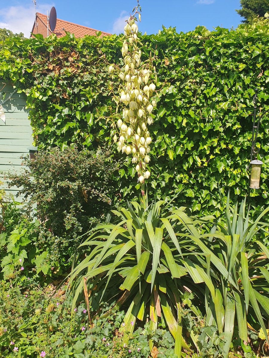 Matt Lewer tweet media