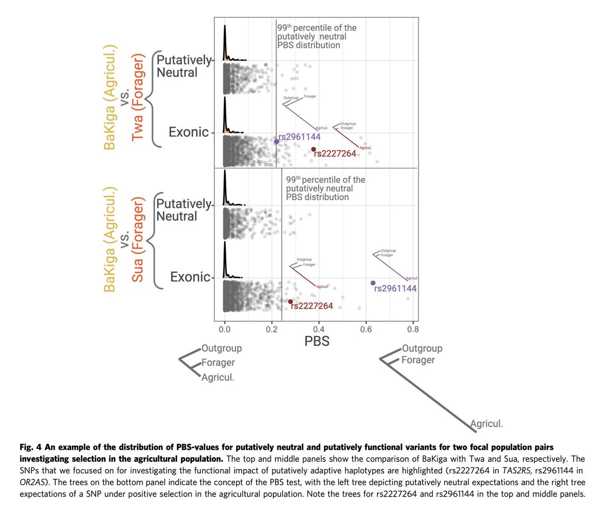 Amanda Melin (she/her) tweet media