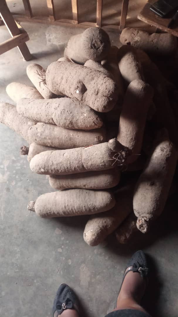 preach love ️ on Twitter "Hey guys, she sells yams, particularly yams