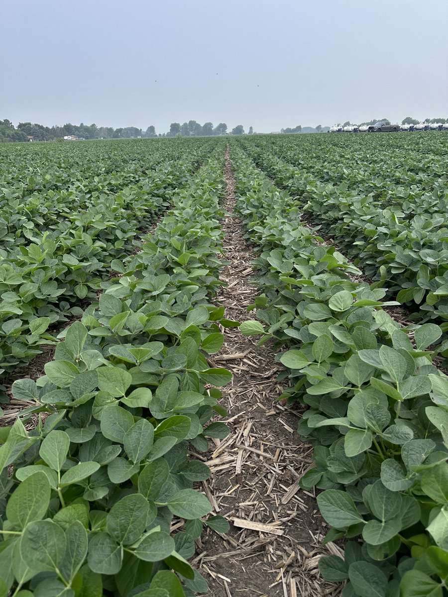 John McLemore tweet media