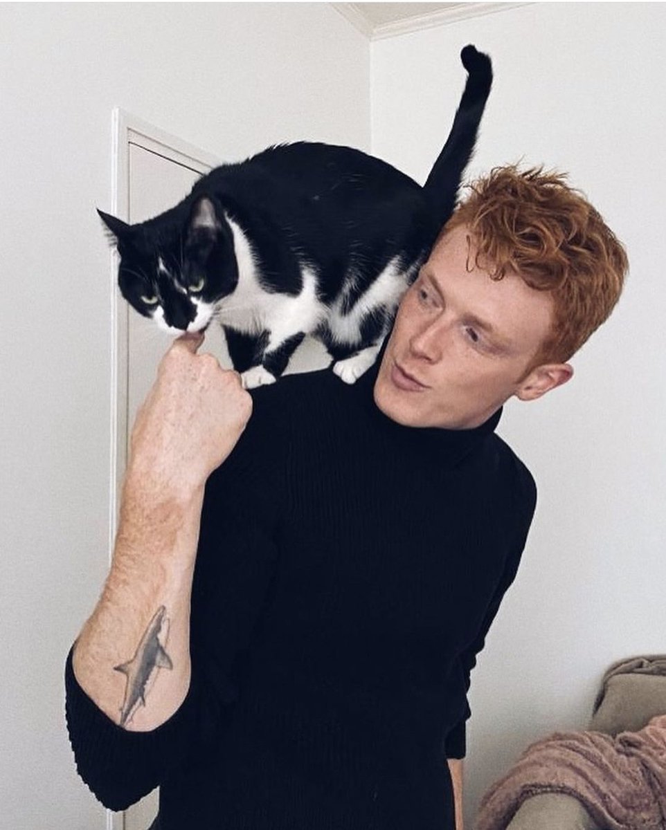 spookyfeuilly's tweet photo. @bazzybazzybaz 

Stealing your cat https://t.co/v6xUK4uHXK