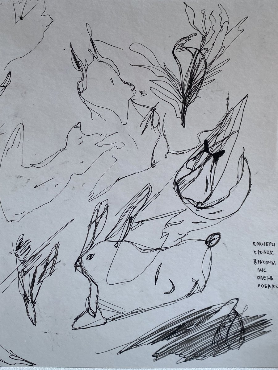sketch ✍️