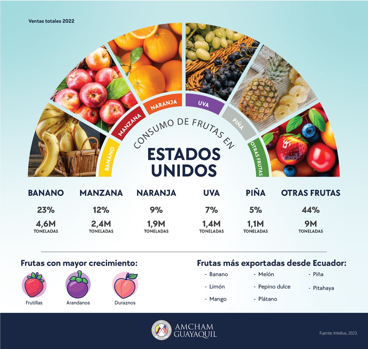ChairAmchamGYE's tweet image. #EEUU 🇺🇲 es un gran destino para la fruta ecuatoriana. Estas 👇 son las frutas más consumidas por ellos (en toneladas): banano🍌 (4.6 M), manzana🍎 (2.4 M) y naranja🍊 (1.9 M). 

Conozcamos ese mercado, y potenciemos nuestras exportaciones 📈.