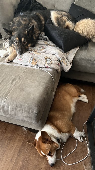 Oh, you. https://t.co/eonatNLHDU<a href="/tag/bangbus"class="tags"><span>#bangbus</span></a>