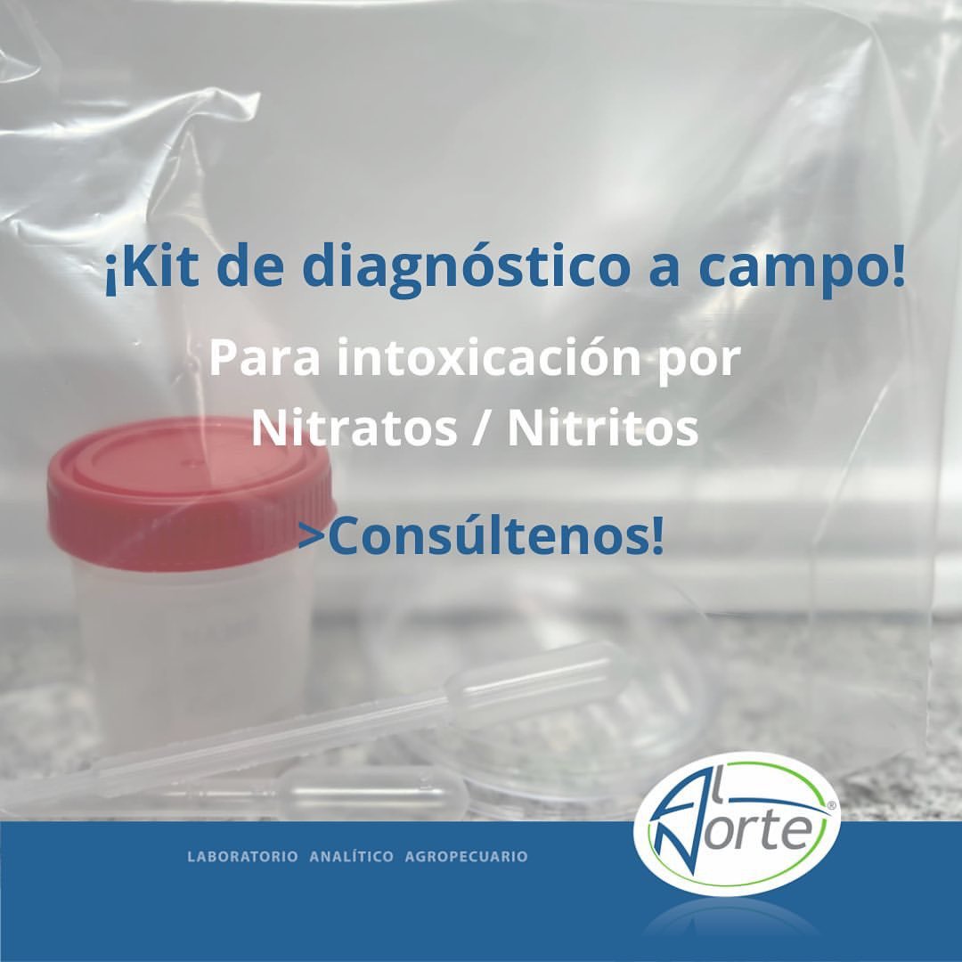 Al_Norte_Lab's tweet photo. 🔬🧪kit de diagnóstico a campo para Intoxicación por Nitratos / Nitritos.

💲Costo: 90 usd + iva
✔️Rinde: 30 muestras

Consultas 📲091 034500

🇺🇾Se envía a todo el país
Al Norte Laboratorio análisis rápidos y confiables! https://t.co/ouBLiq2rMs