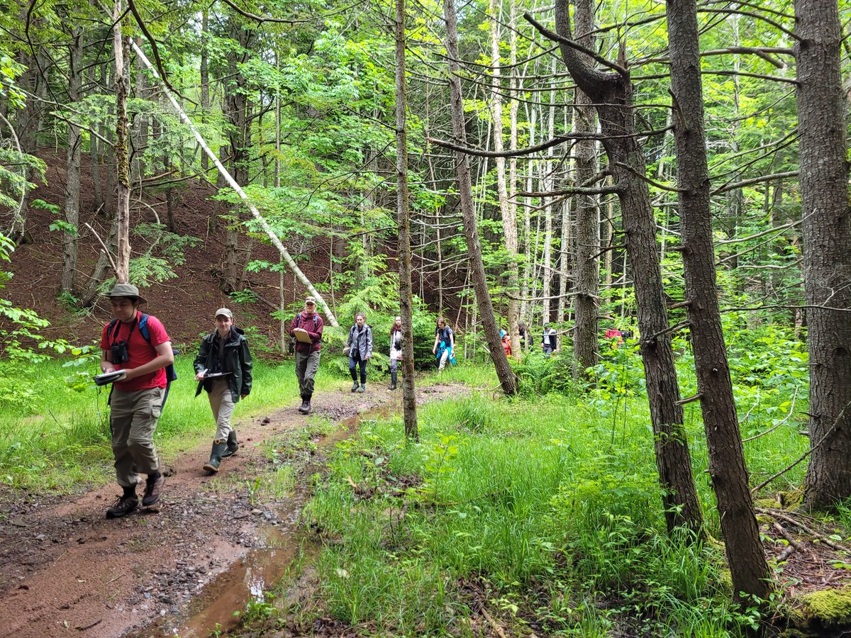 Dr. Sarah Gutowsky tweet media