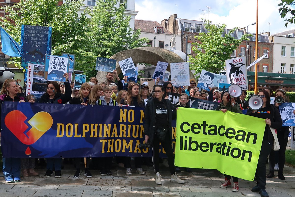 by_jo_'s tweet photo. #ThomasCook ends ticket sales to attractions with #captivedolphins!
βI feel incredibly emotional. We worked so hard & campaigned relentlessly. We researched & investigated; held protests & outreach events, made press & more.β-Jo #DolphinFreedomUK #EmptyTheTanks #UntilLolitaisHome https://t.co/Kwmqc4z5RX
