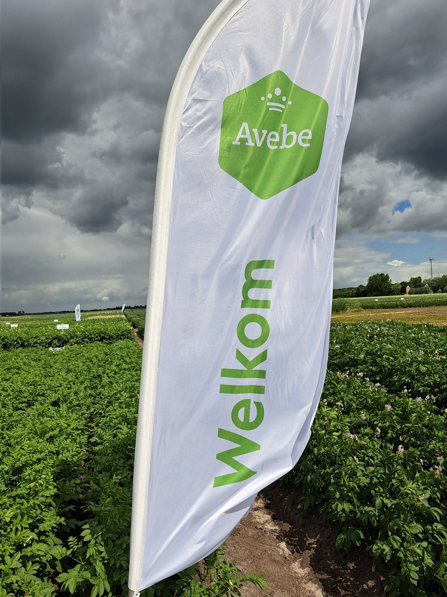 harmgerms's tweet image. Morgen de eerste van twee innovatiedagen op @WUR_Valthermond. Kom langs bij @Royal_Avebe, @Royal_Cosun, @Agrifirm en de andere deelnemers!
