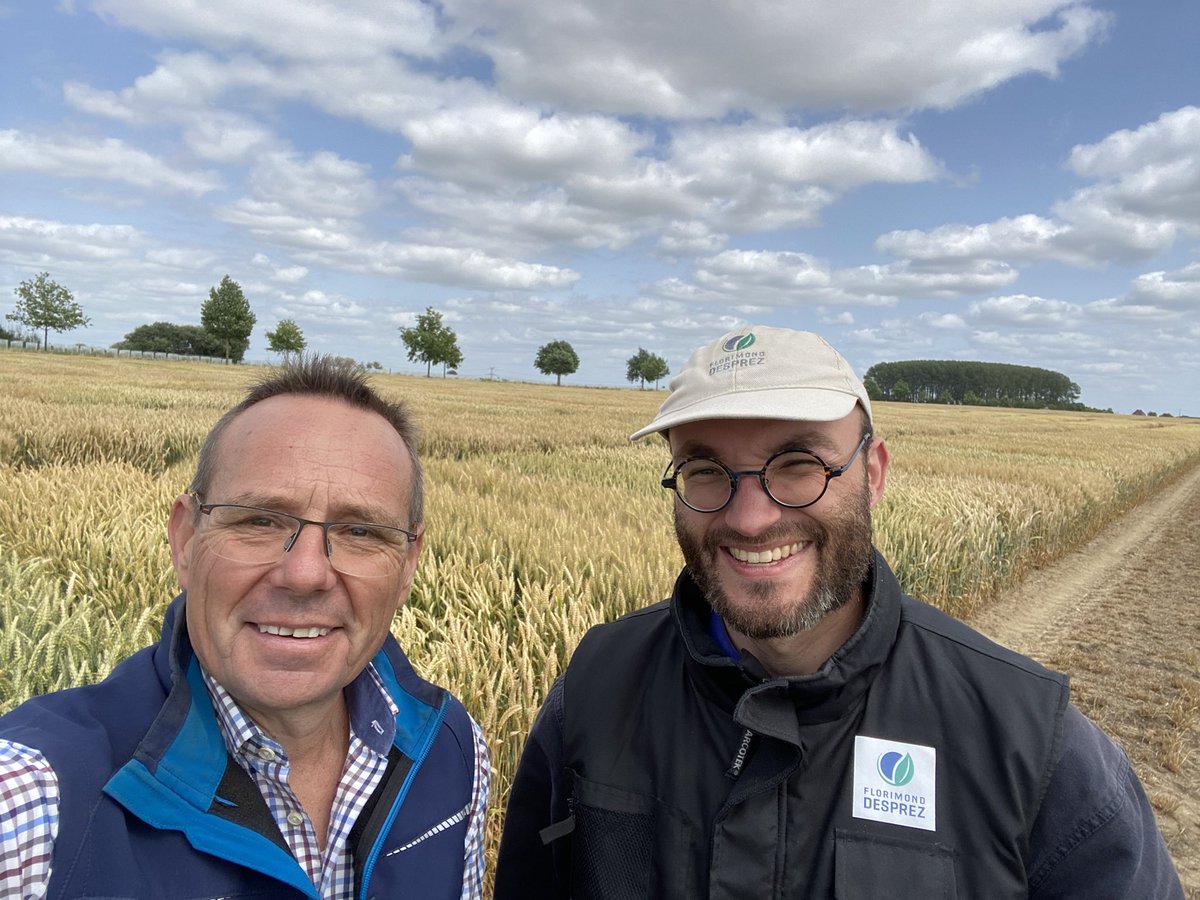 Triticale and wheat trials in Cappelle/France. Perfect day together with the MFD experts Christophe and Sylvain in the nurseries. #saatzucht_streng_engelen #maison_florimond_desprez
