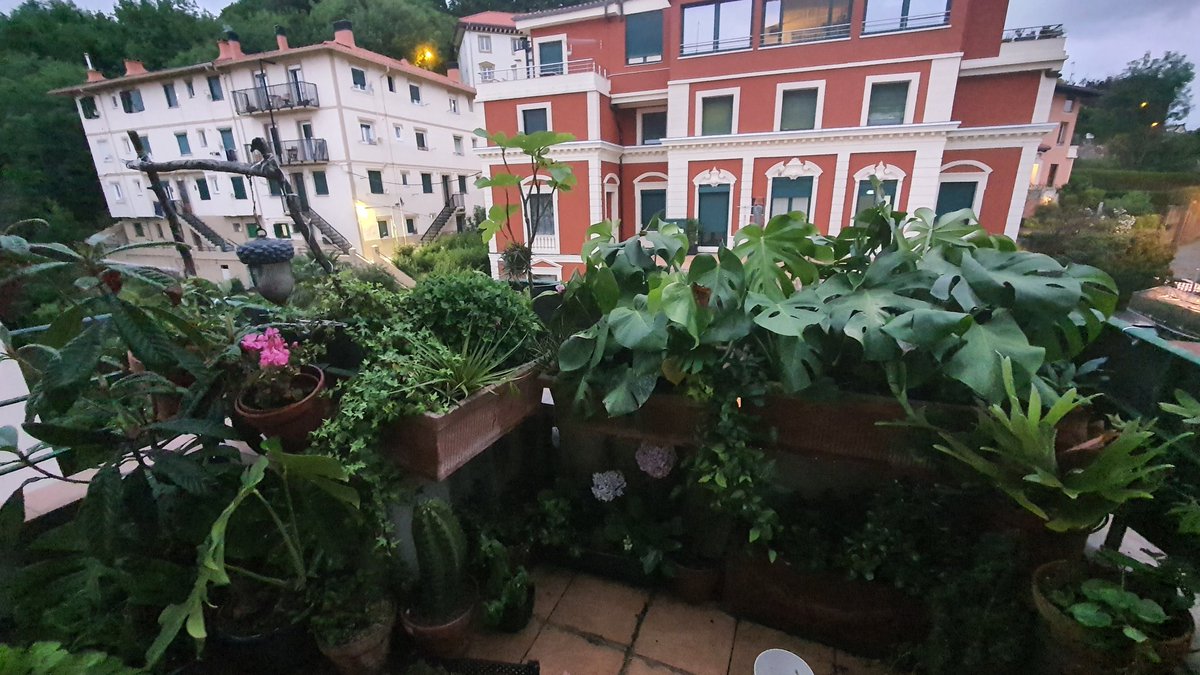 Cada vez veo menos a los vecinos 💚