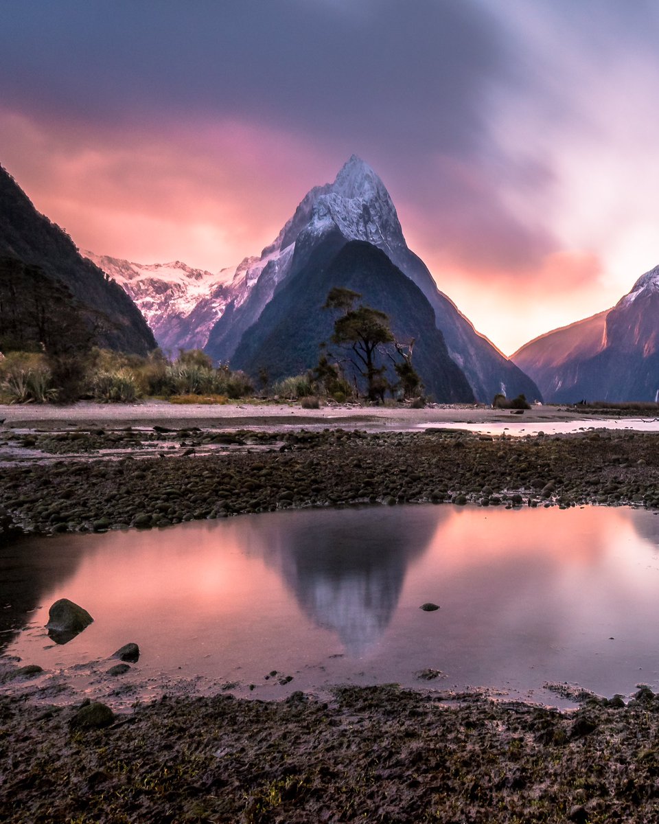 DEB Clark -NFTNYC Artist 2025 tweet media