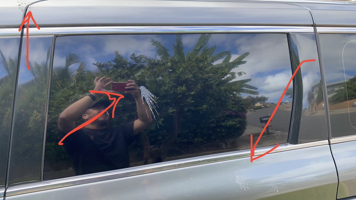PoiDawg's tweet photo. Accursed birds just dive bombed my freshly washed car!  Not even 15 minutes after drying it off!😡 https://t.co/G46ZZjh4a5