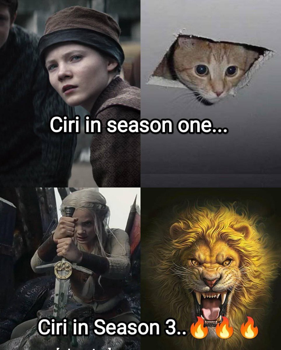 TheWitcherMemes's tweet photo. https://t.co/ggPSpsfYum