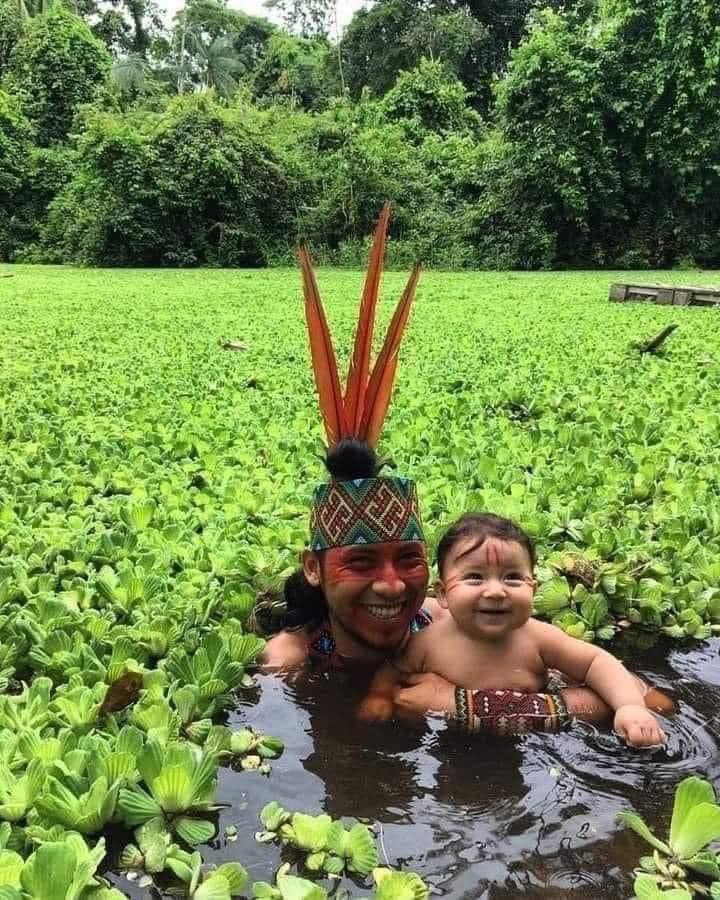LilliunAzules's tweet image. 🌿 Existem famílias morando na floresta 🌳