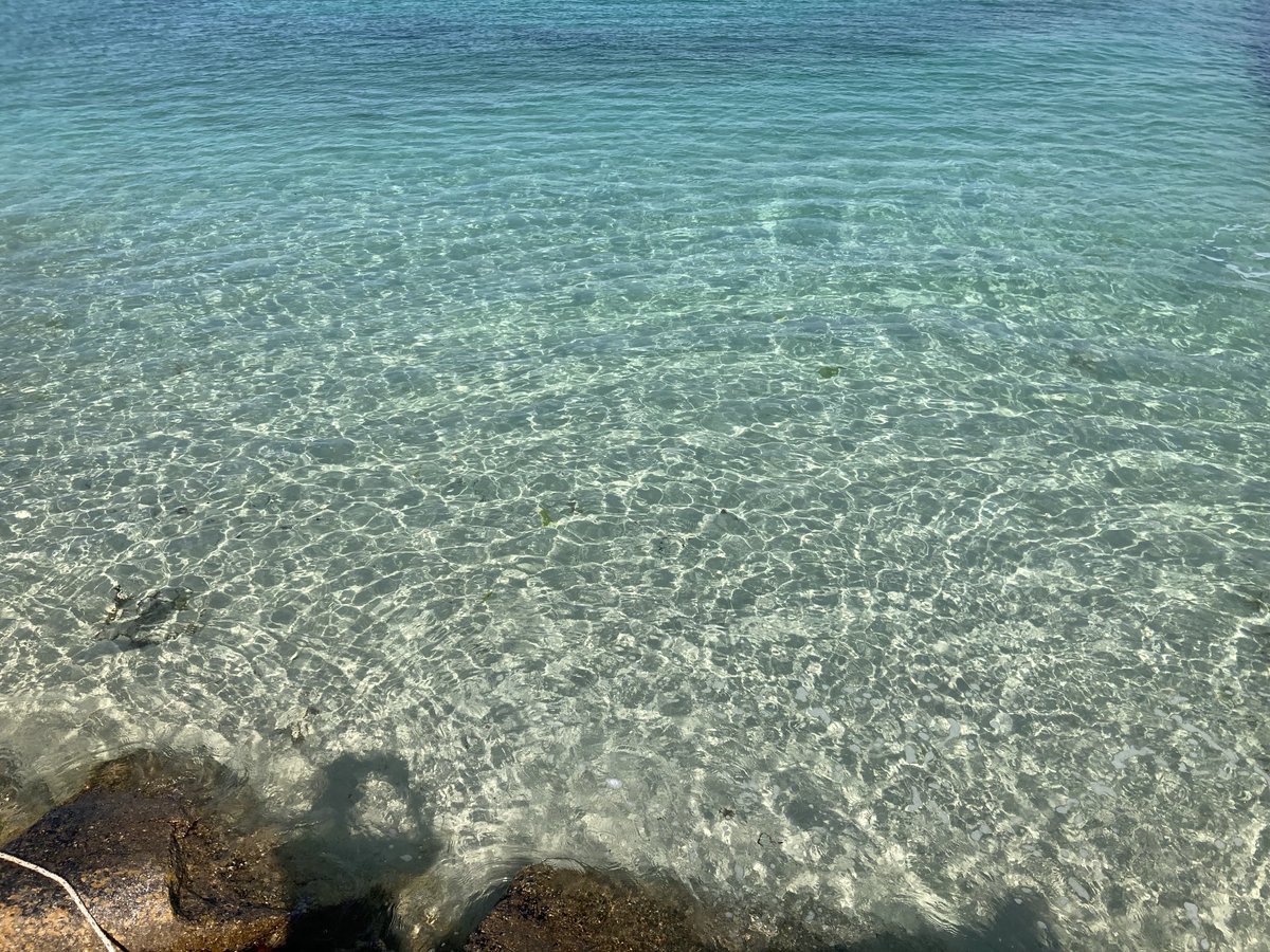 Si ce n’est la température de l’eau, on se croirait aux Antilles ou sous les tropiques #Bretagne #Finistère