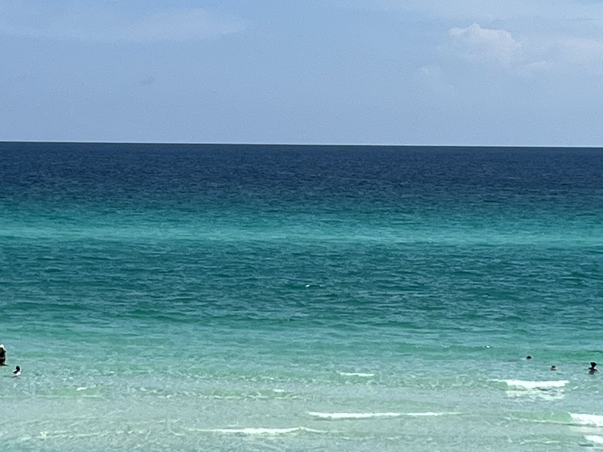 FuriasRuler's tweet photo. How can I leave Florida for SC tell me … https://t.co/DoSQFeG0QX