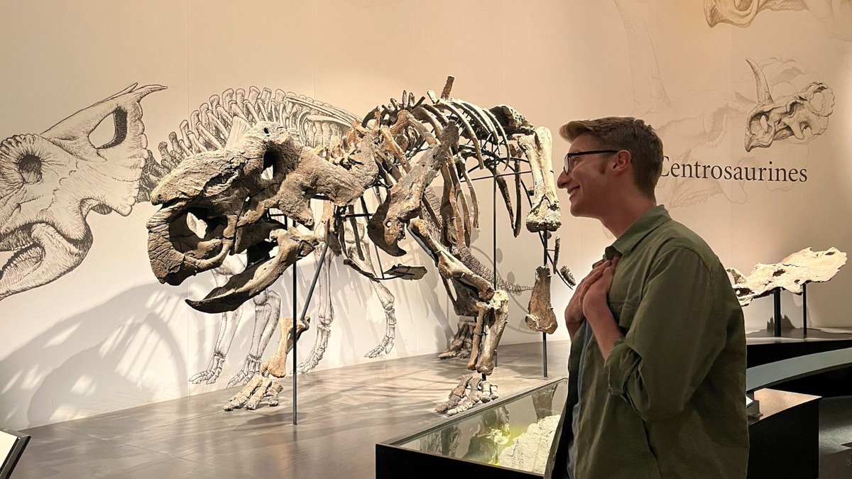 Looking for some one-on-one quality time with our dinosaurs? The Museum’s busiest hours are typically in the morning and afternoon, but we’re open daily in the summer until 9 p.m.! We recommend people seeking a quieter, more relaxed experience consider visiting in the evening.