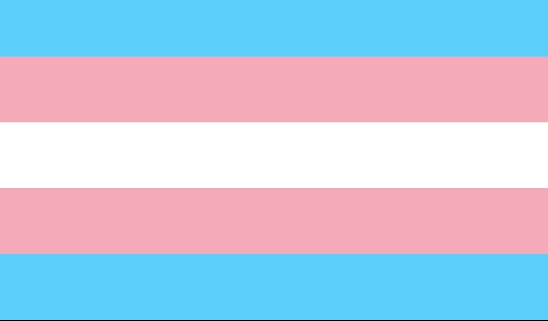 #StandWithTrans 
The trans and non-binary friends I've made are some of the kindest people I know.

Don't buy into arguments that entire minority groups are somehow inherently 'dangerous'. These ideologies cause huge unnecessary suffering for innocent people. Every time.
