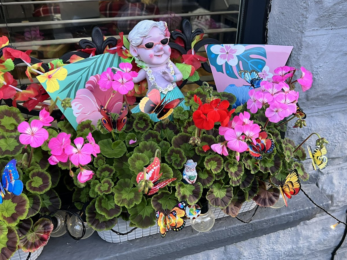 Just decorated the front of our house for summer this years theme is Hawaii it’s lovely and colourful 🌺🌺