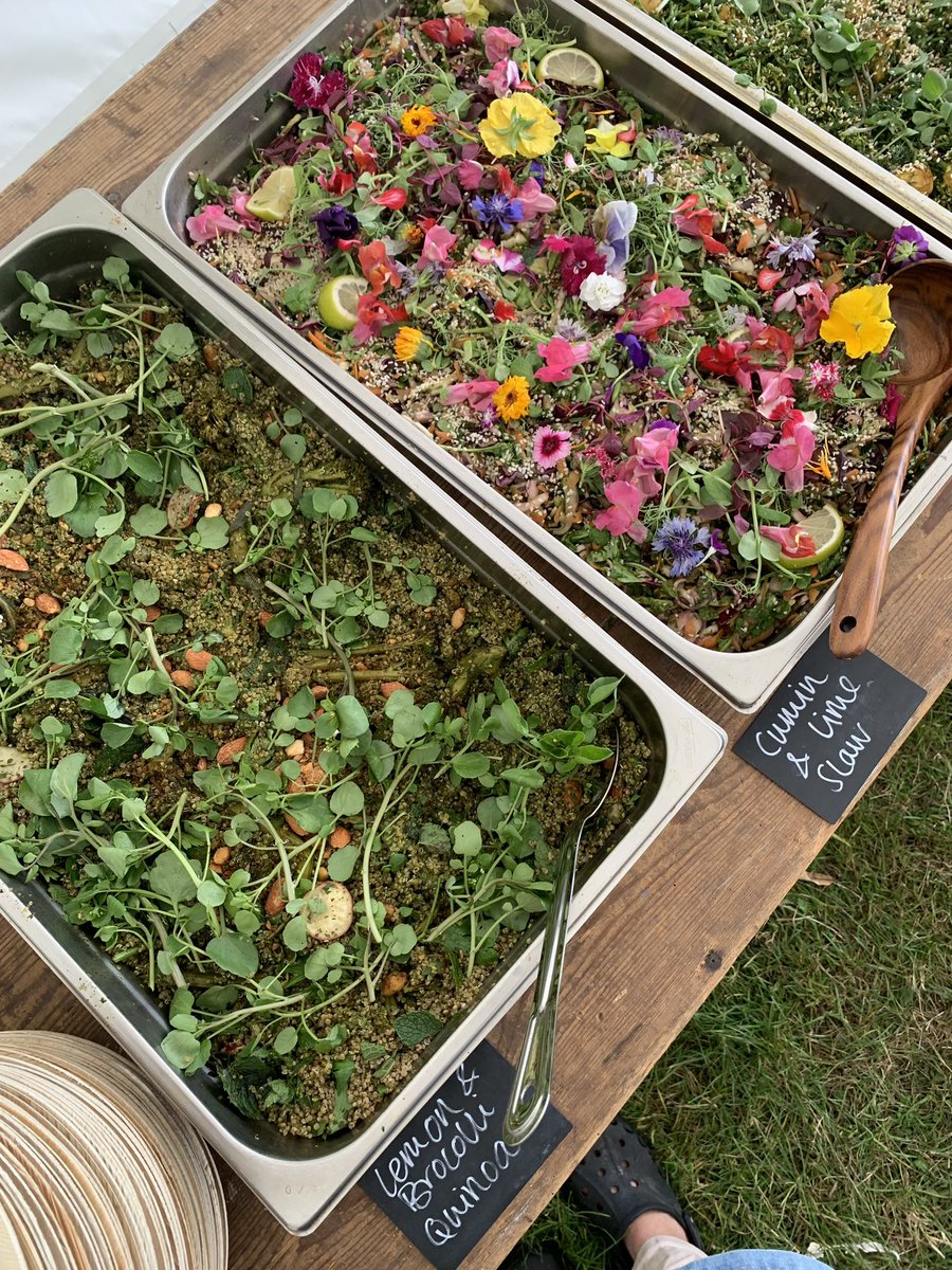 Wild Thing Catering tweet media