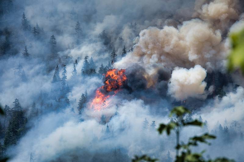 FireTracApp's tweet photo. Skamania County, WA
The #Tunnel5Fire has grown to 533 acres with evacuations in place. According to #WADNR structures have been lost.

Priorities today: Public &amp; FF safety, structure protection, protect critical infrastructure &amp; natural resource values at risk.
📷David Bolich https://t.co/GaYbO1kMUs