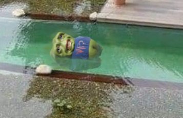 LongItAll💹 tweet media