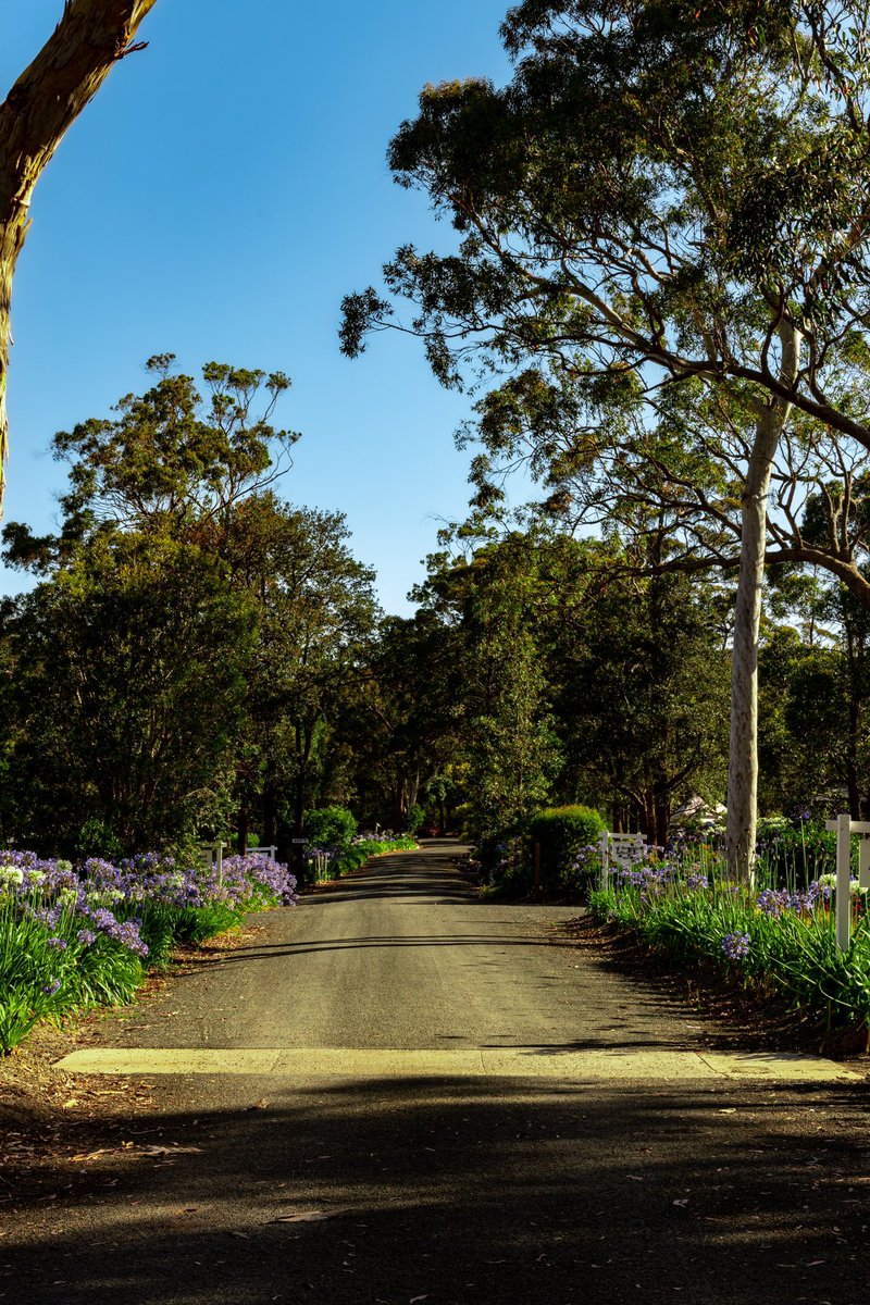 The arches and road at the woods farm. #photography #arch #farm #road #summer #holidays #travel #australia #jervisbay