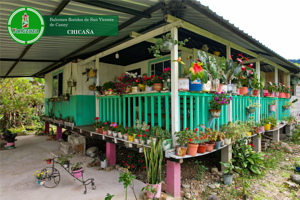 Disfruta de los colores, aromas y creatividad que te ofrecen los balcones floridos de San Vicente de Caney en #Chicaña.

#YantzazaTuDestino #ZamoraChinchipe