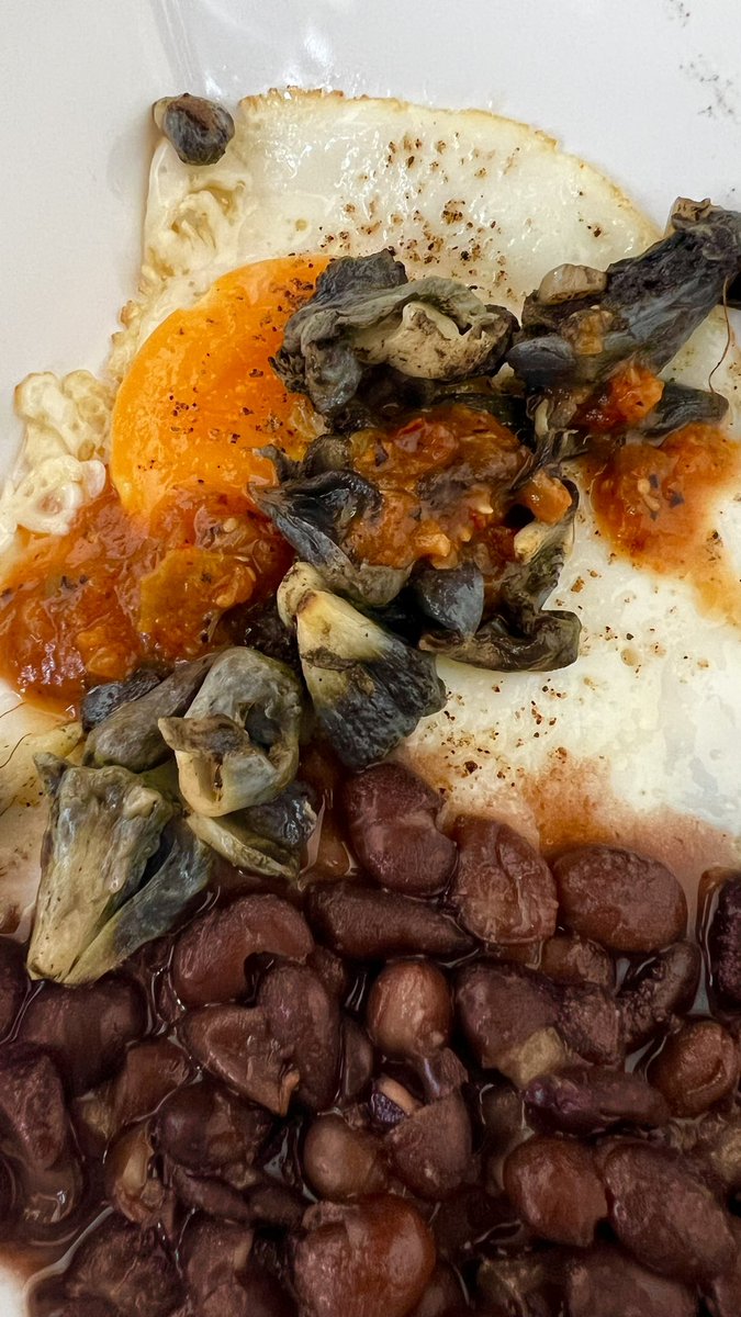 burritoconcoca's tweet photo. Buen día bandita poderosa, @ruleiro @eltalcha #PoPoderoso hoy para el #DesayunosPoderosos, hicimos en casa unos huevos fritos con huitlacoche y salsa de morita, acompañado de frijol negro. https://t.co/5MOj4nuPVz