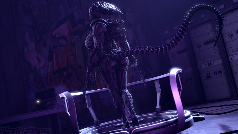 xenomor13148430's tweet image. 