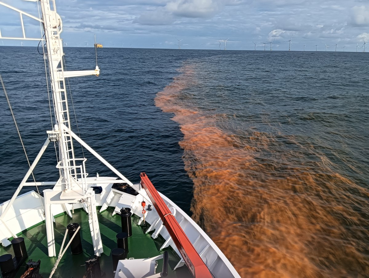 AIRCentre_org's tweet photo. 🛥️#LabPlasProject field campaign concluded! Thank you all the team for a very fruitful campaign, w/ plenty of sample collections for analysis! Upon return, a phytoplankton bloom was encountered, possibly N. scintillans, confirming the #satellite images🛰️ More info on this soon! https://t.co/IWbYUIuxsP